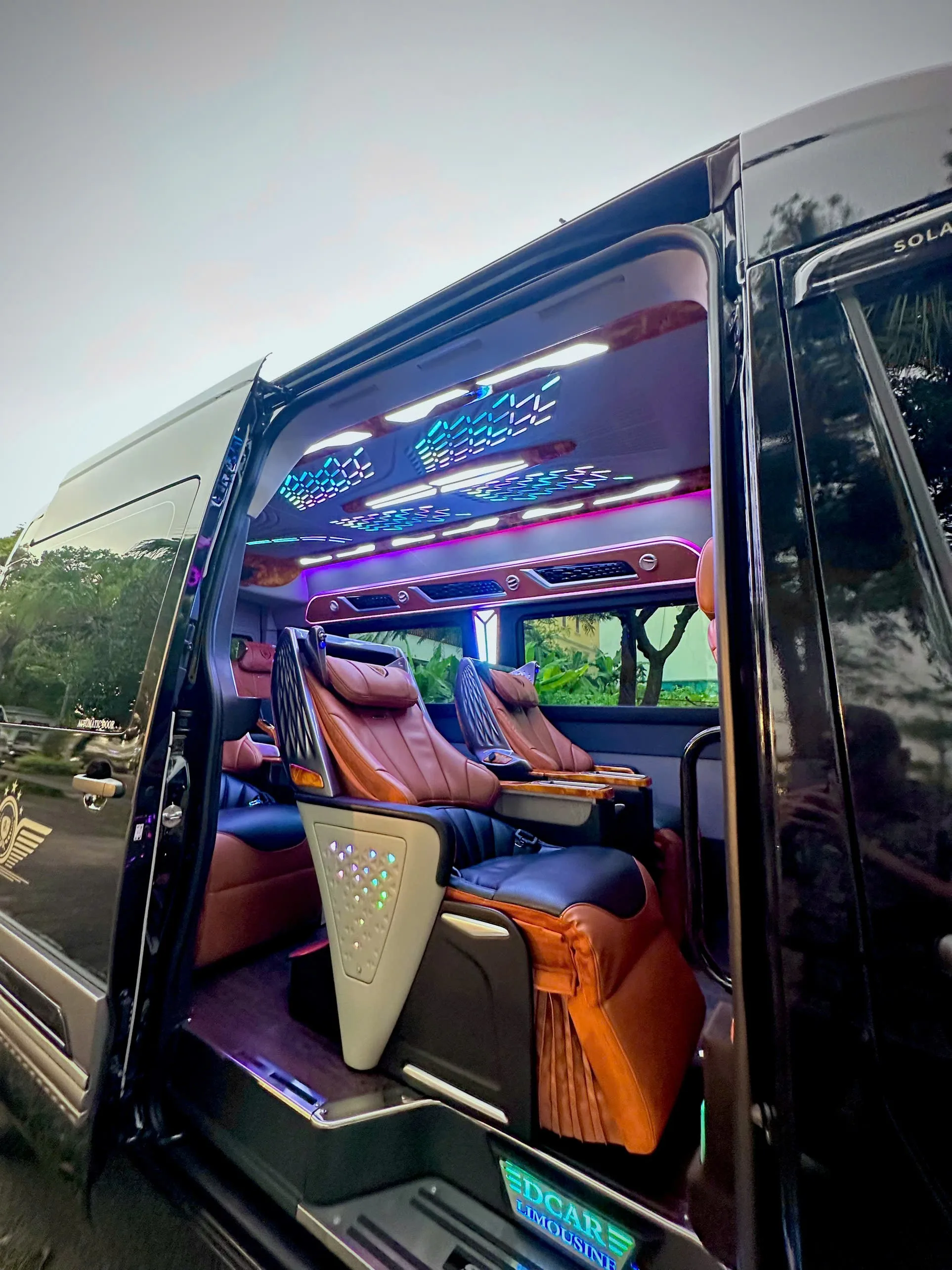 Limousine Guided Tour